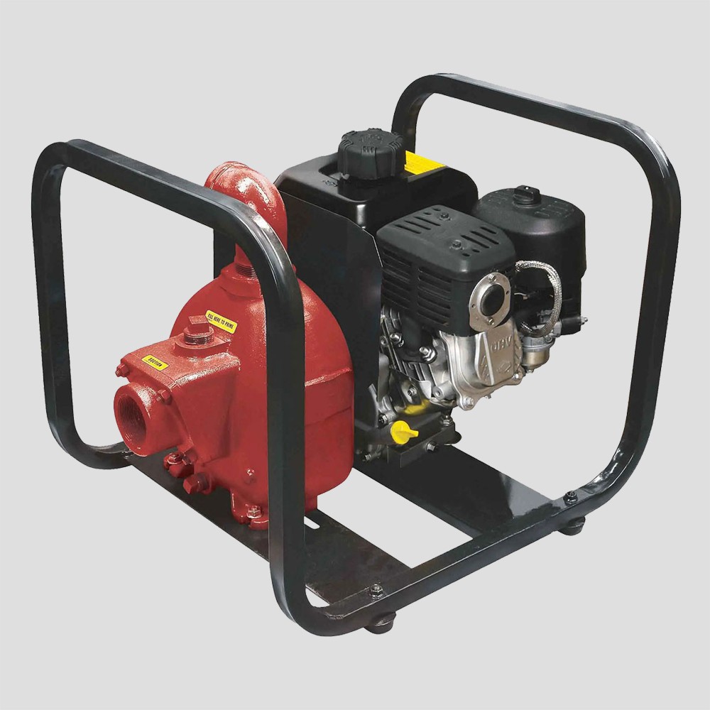 Fill-Rite Gas Pump - FR82D1-XR550-XP